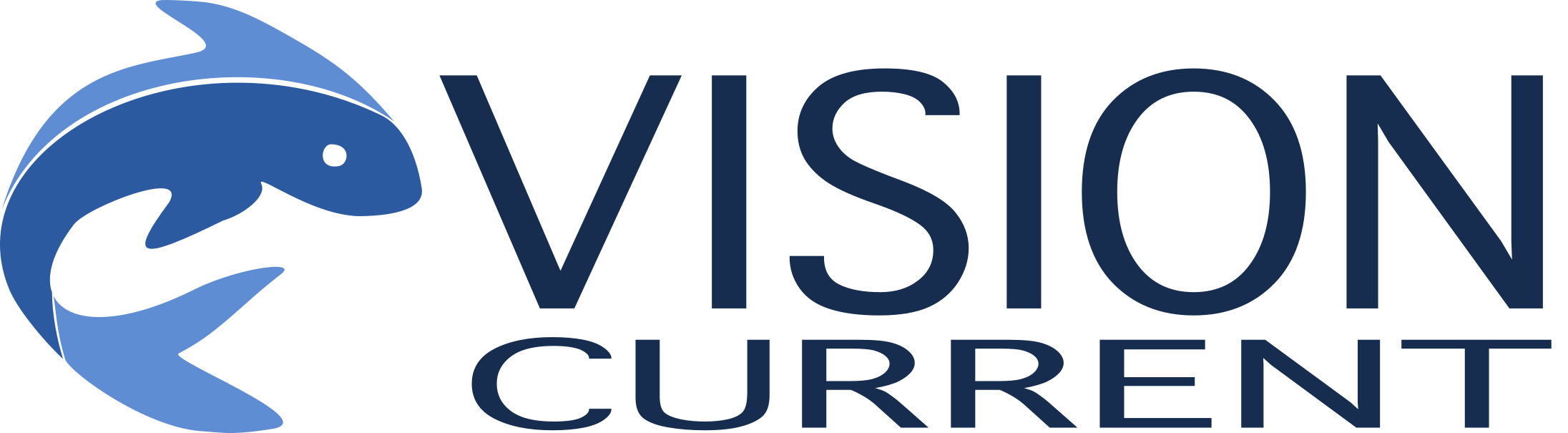 VisionCurrent Logo
